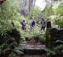 Dig reveals secrets of castle’s fernery, Larnach Castle