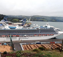 The Diamond Princess Docks in Dunedin, Larnach Castle