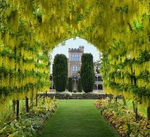 Crafting the Laburnum at Larnach Castle, Larnach Castle