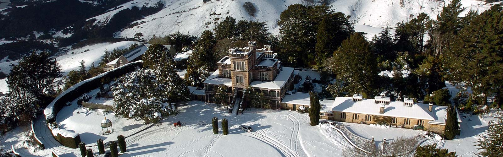 visitor information larnach castle gardens new significance of christmas