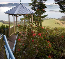 Explore Larnach Castle and Gardens