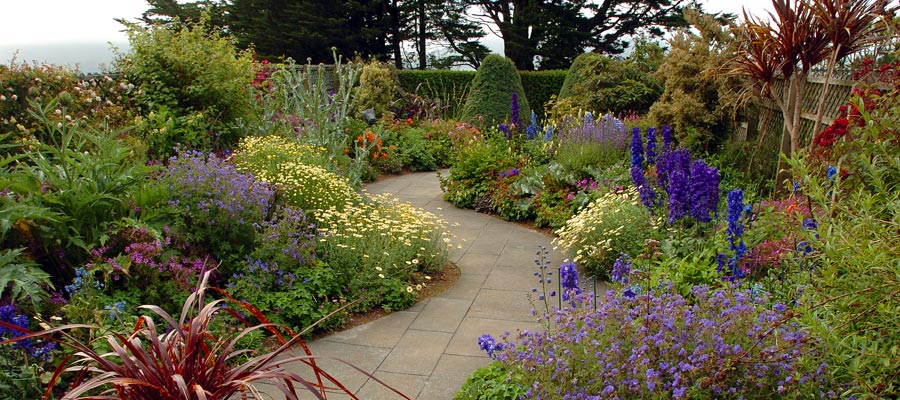 Serpentine Walk at Larnach Castle