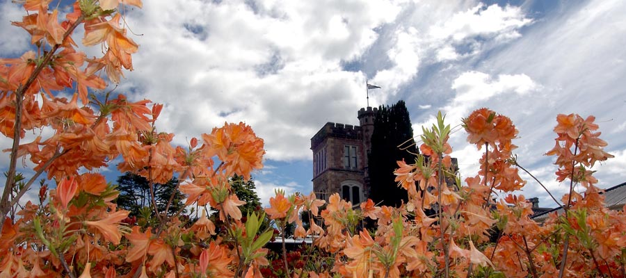 Larnach Castle in Spring