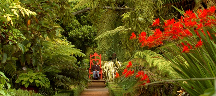 Rainforest Throne at Larnach Castle