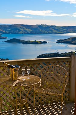 View from a balcony at Larnach Lodge