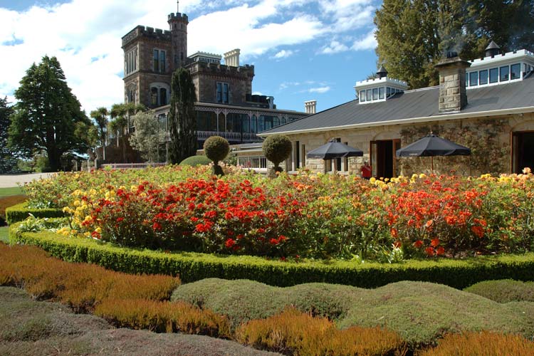 Larnach-Castle-Azaleas.jpg