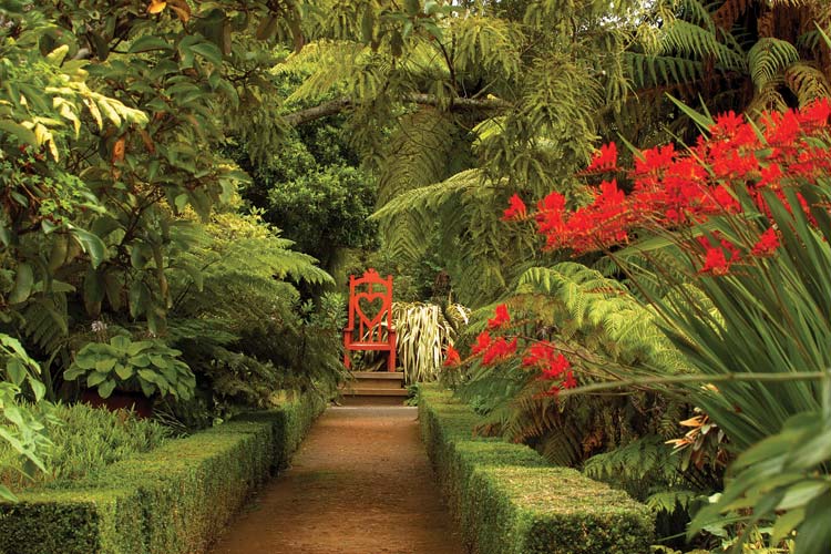 Rainforest-Throne.jpg